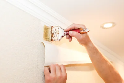 Pose de papier peint à Méritein — revêtements muraux et toiles de verre